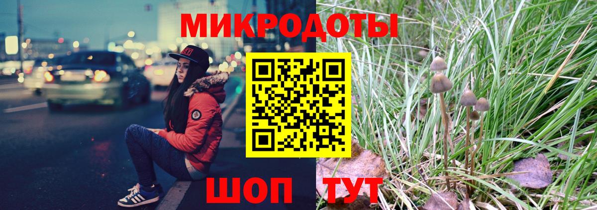 Рославль  закладка  Вход с VPN  Псилоцибиновые грибы Psilocybine cubensis 